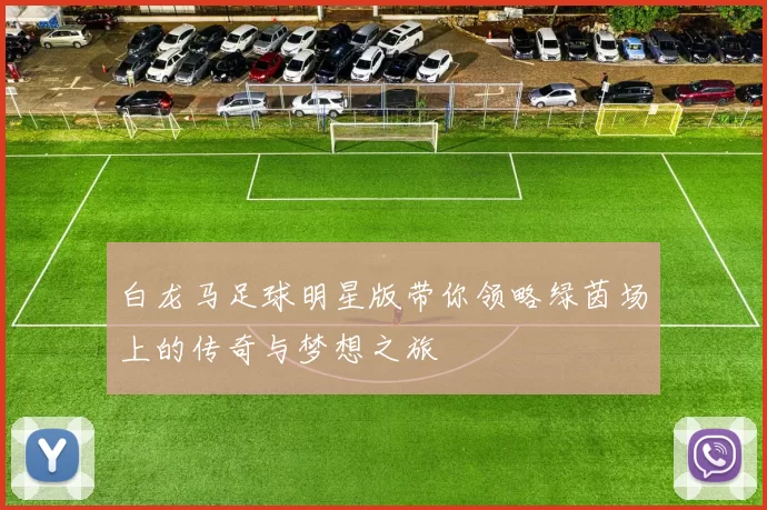 白龙马足球明星版带你领略绿茵场上的传奇与梦想之旅