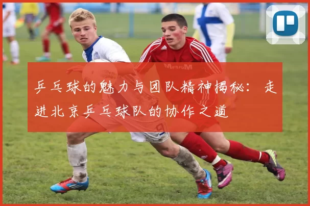 乒乓球的魅力与团队精神揭秘：走进北京乒乓球队的协作之道