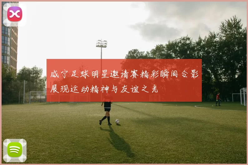 咸宁足球明星邀请赛精彩瞬间合影展现运动精神与友谊之光