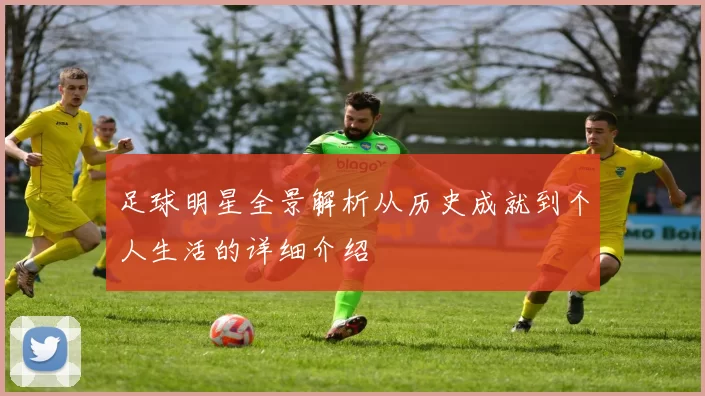 足球明星全景解析从历史成就到个人生活的详细介绍