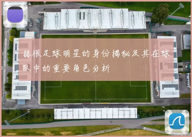 赫根足球明星的身份揭秘及其在球队中的重要角色分析
