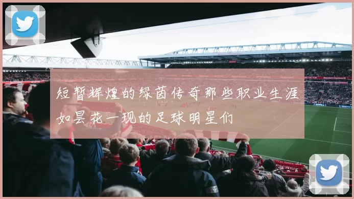 短暂辉煌的绿茵传奇那些职业生涯如昙花一现的足球明星们